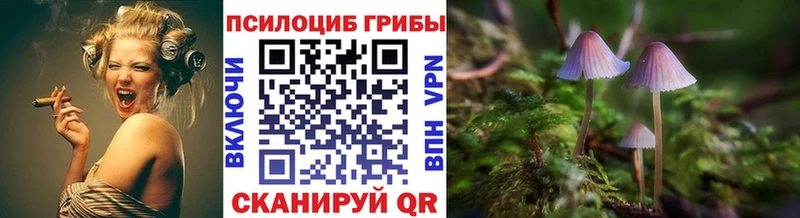 это формула  купить наркотики сайты  Киреевск  Псилоцибиновые грибы Cubensis 
